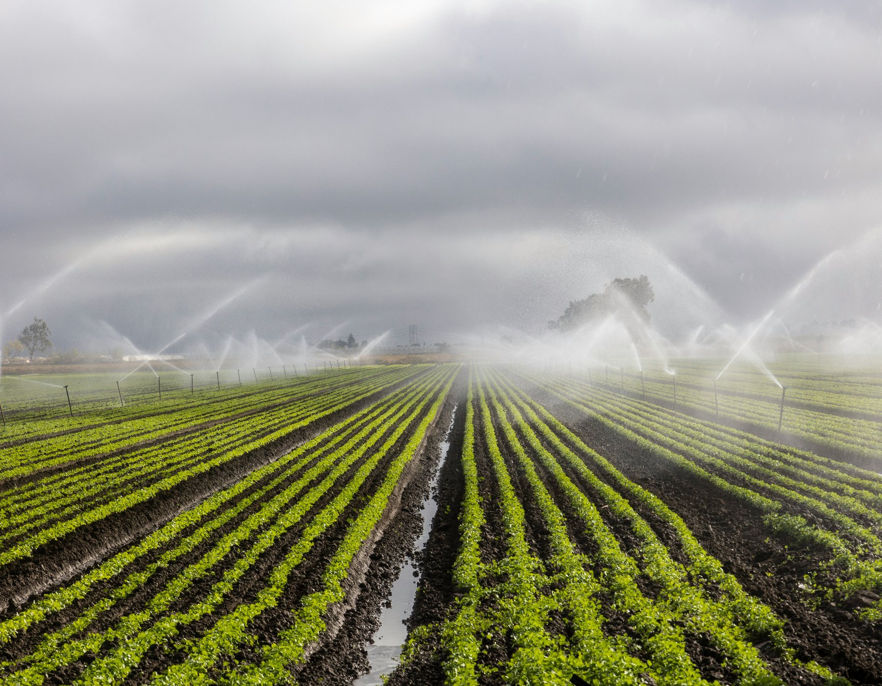 Crop irrigation