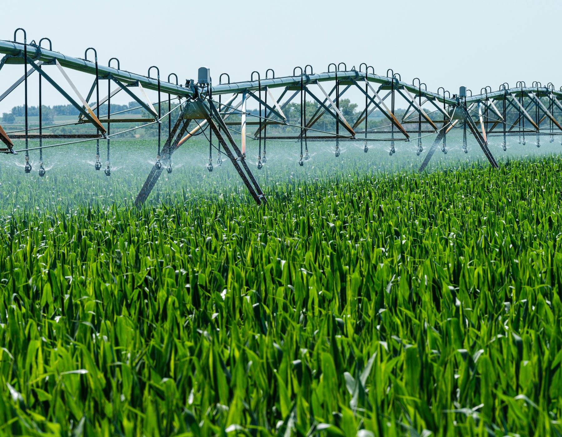 Field spraying