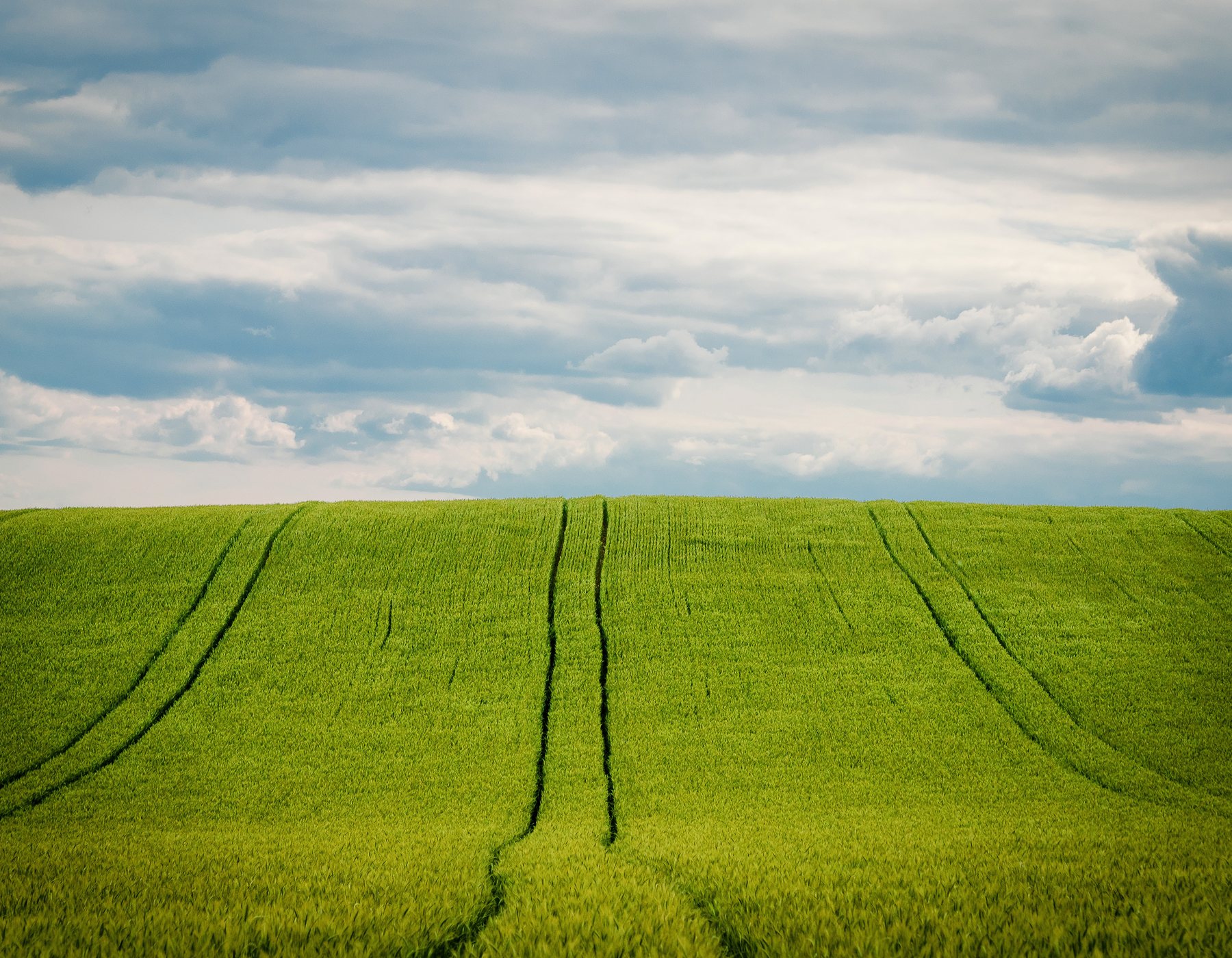 Open crop field